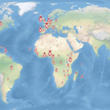 Spiritans In The World